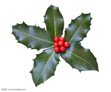 ȫȷ79232555 ֱ¹ڲȾ