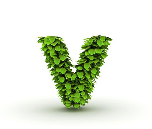 й½ϳƫ ȫůorȫ䣿