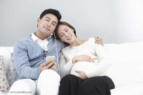 ж! 2020սͼ:48ɽ ¹ű